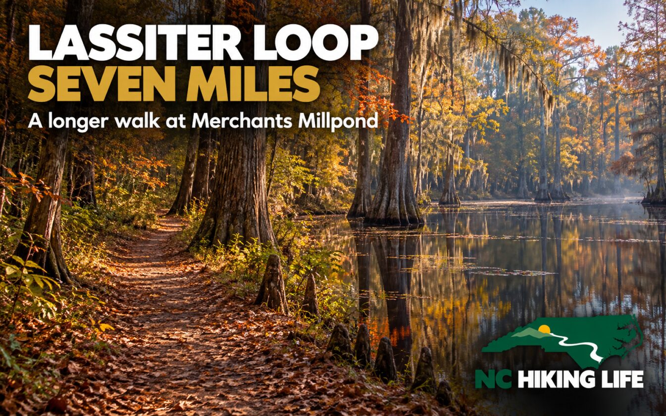AI-generated illustration inspired by Merchants Millpond State Park, with headline text and the NC Hiking Life logo.
