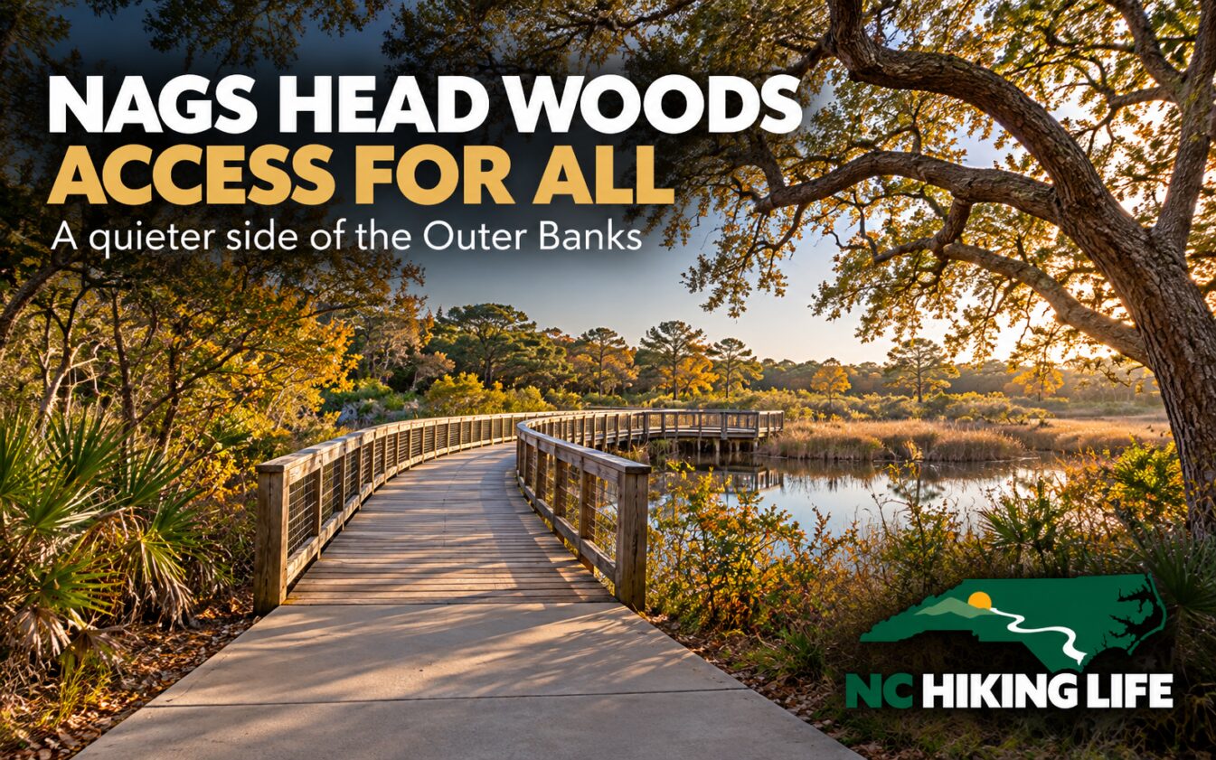 AI-generated illustration inspired by Nags Head Woods Ecological Preserve, with headline text and the NC Hiking Life logo.